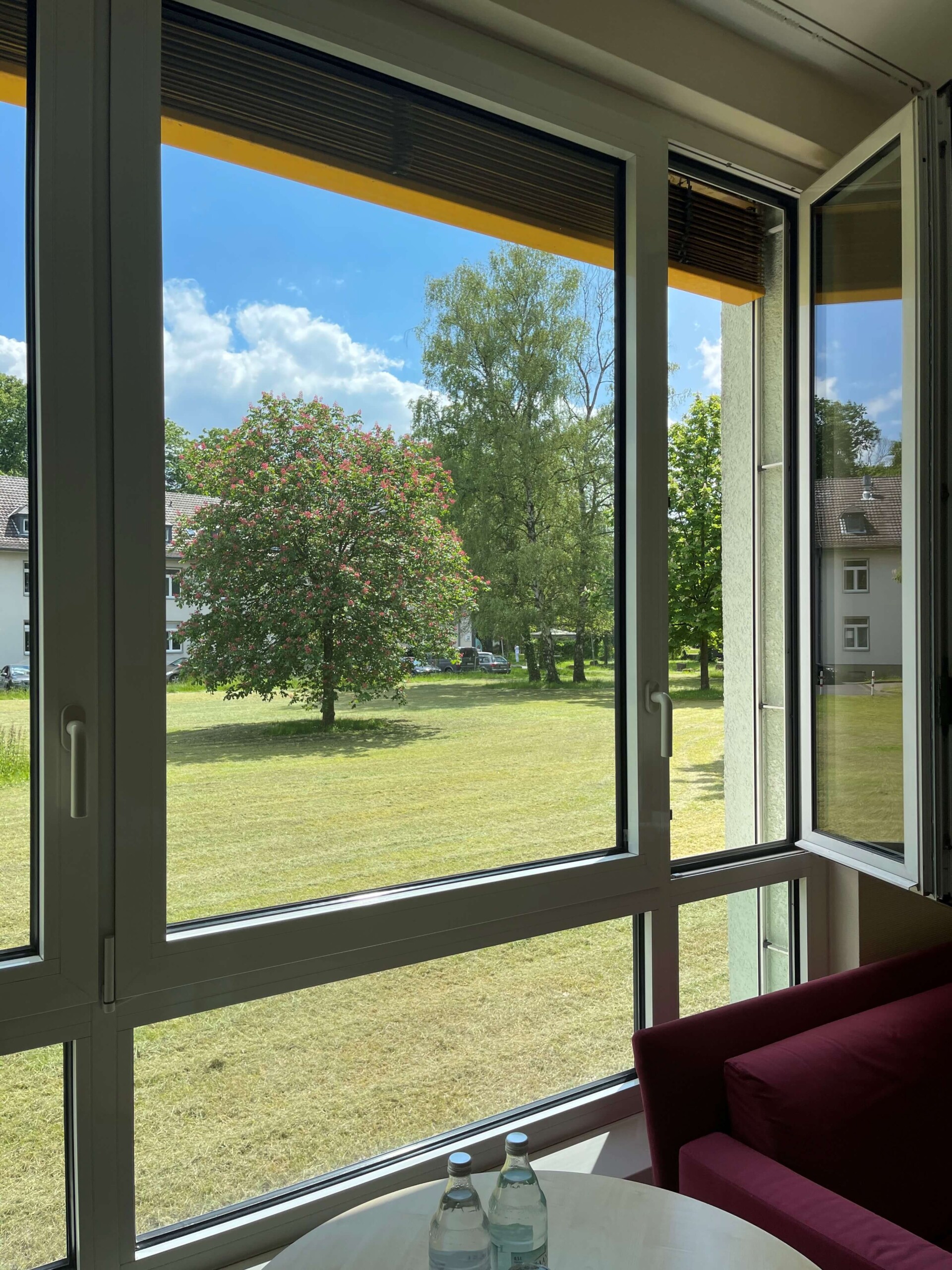 Blick_in_den_Garten_2